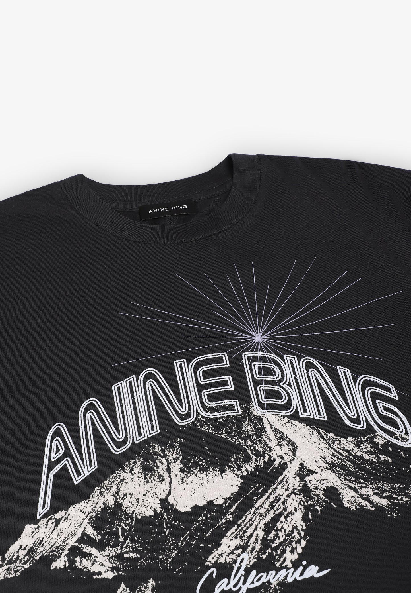 ANINE BING | CAMISETA WALKER CALIFORNIA
