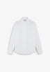 CAMISA DE ALGODÓN ALBINI
