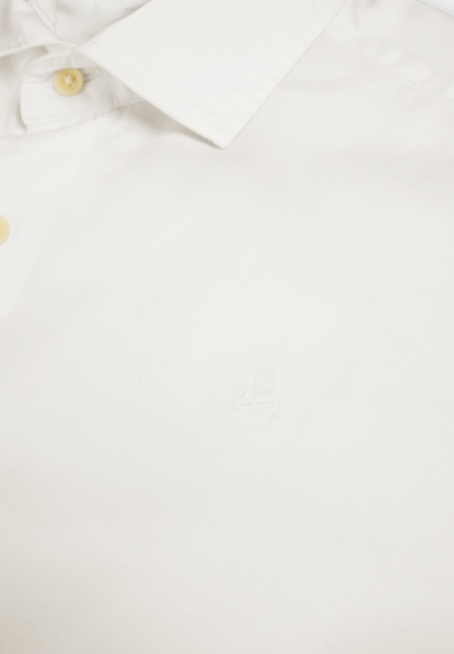 SCSUMMER SEATLE K SHIRT