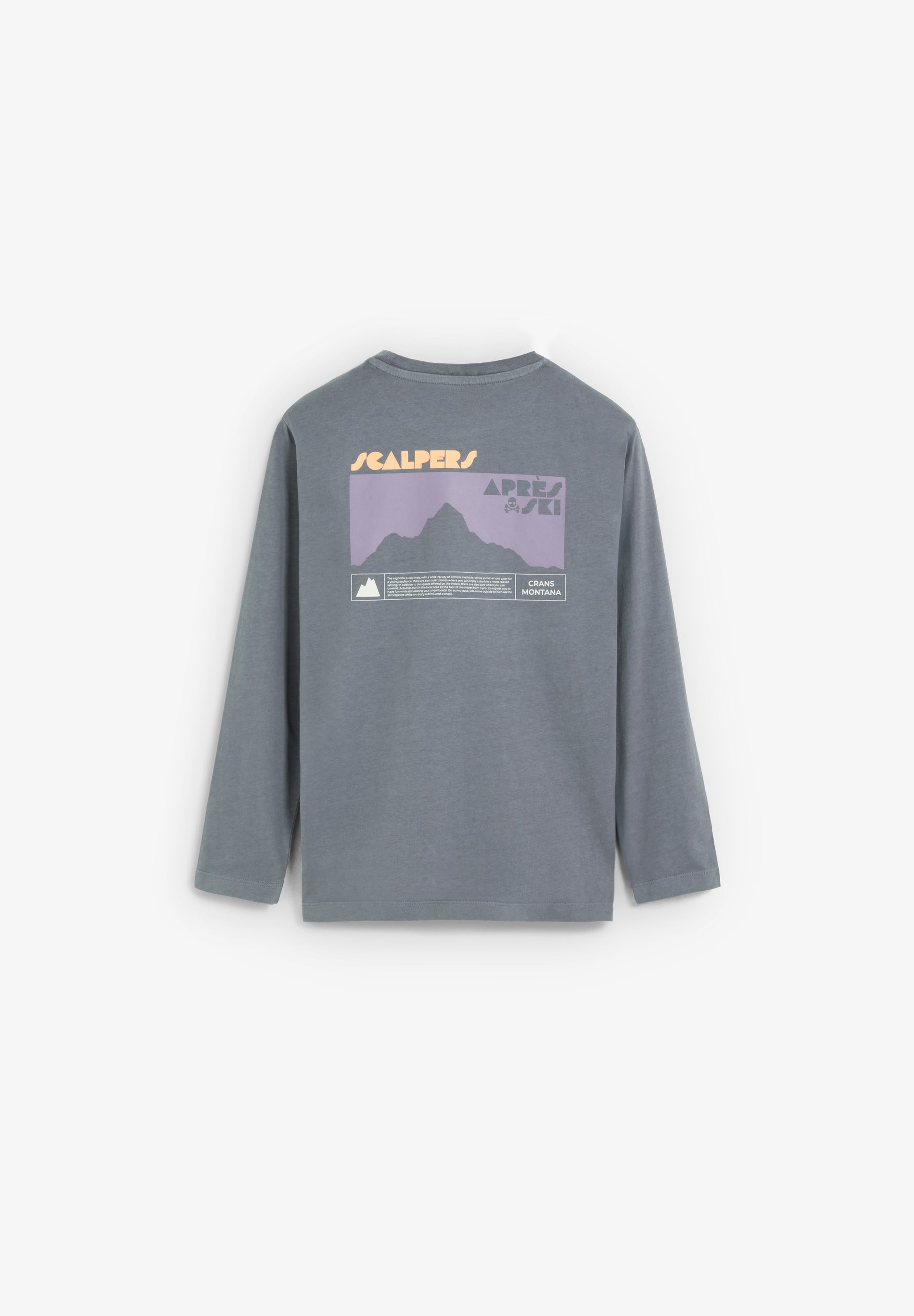 CAMISETA MANGA LARGA PRINT