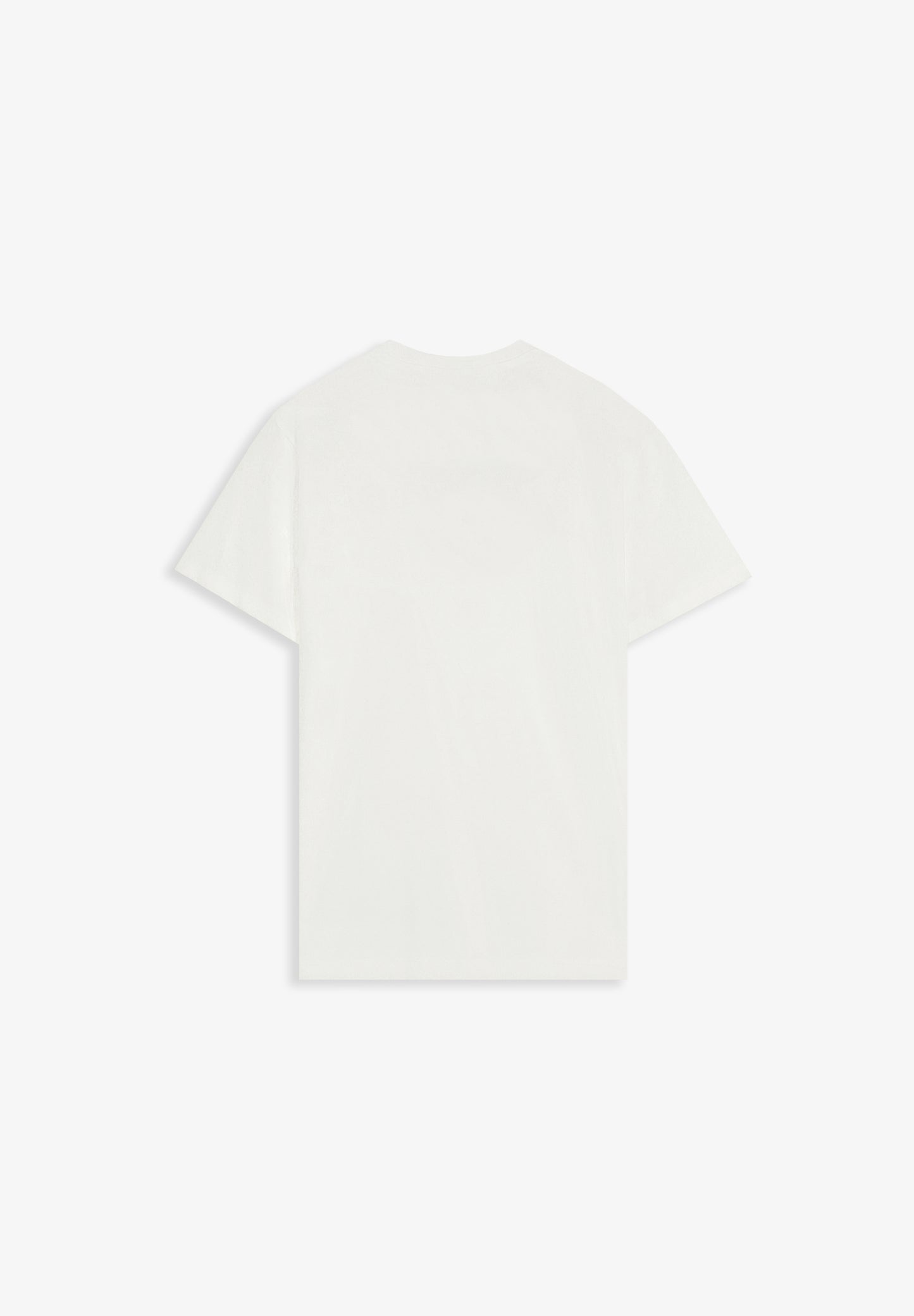 CAMISETA PRINT DELANTERO