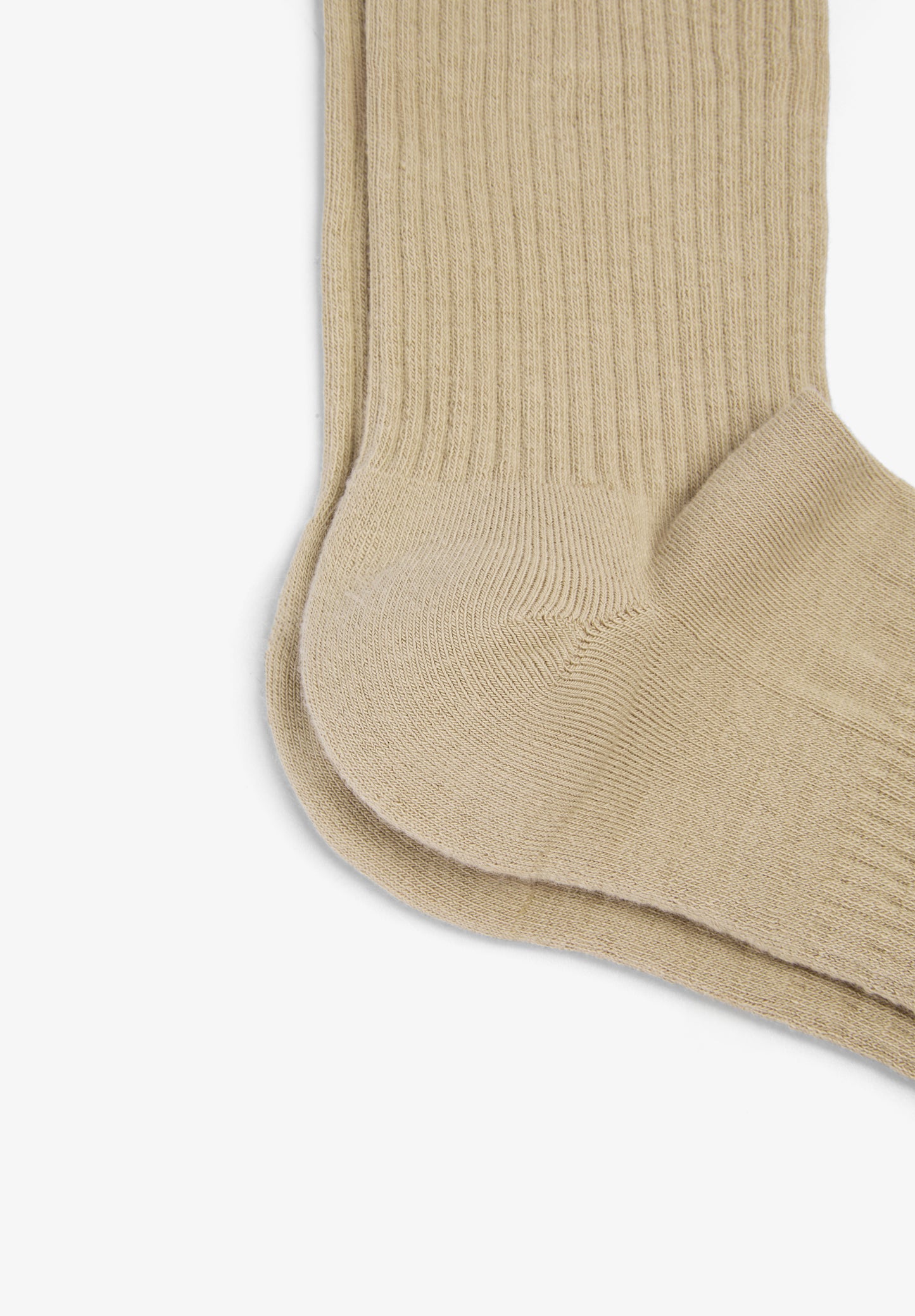 SCADN SOCKS