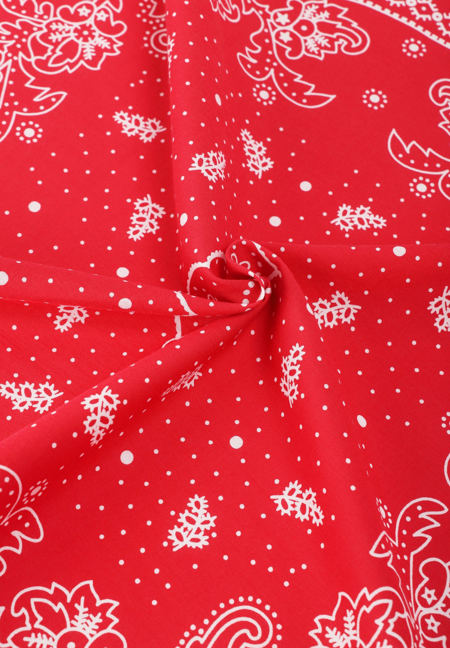 LEVIS | BANDANA PAISLEY