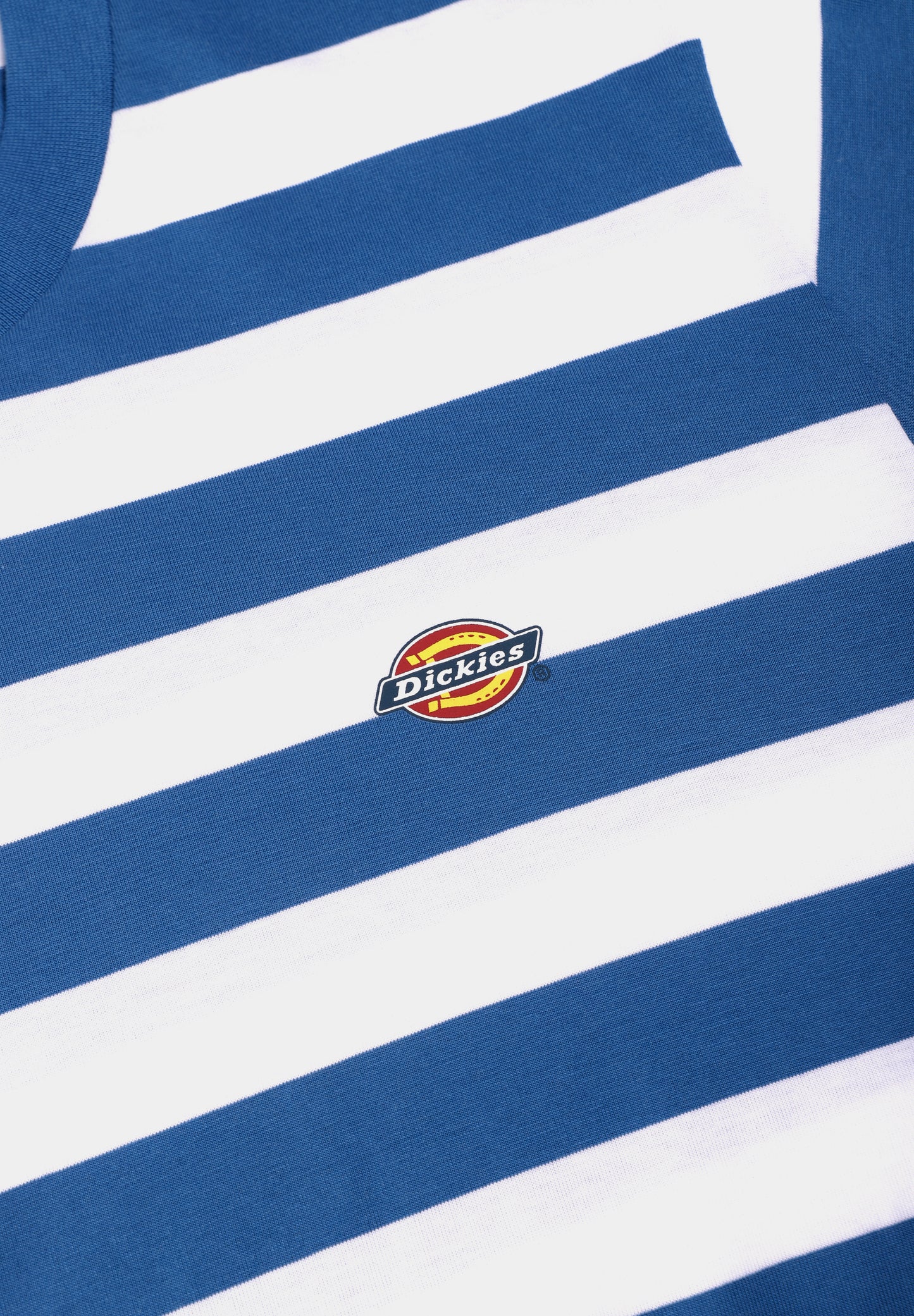 DICKIES | CAMISETA RIVERGROVE