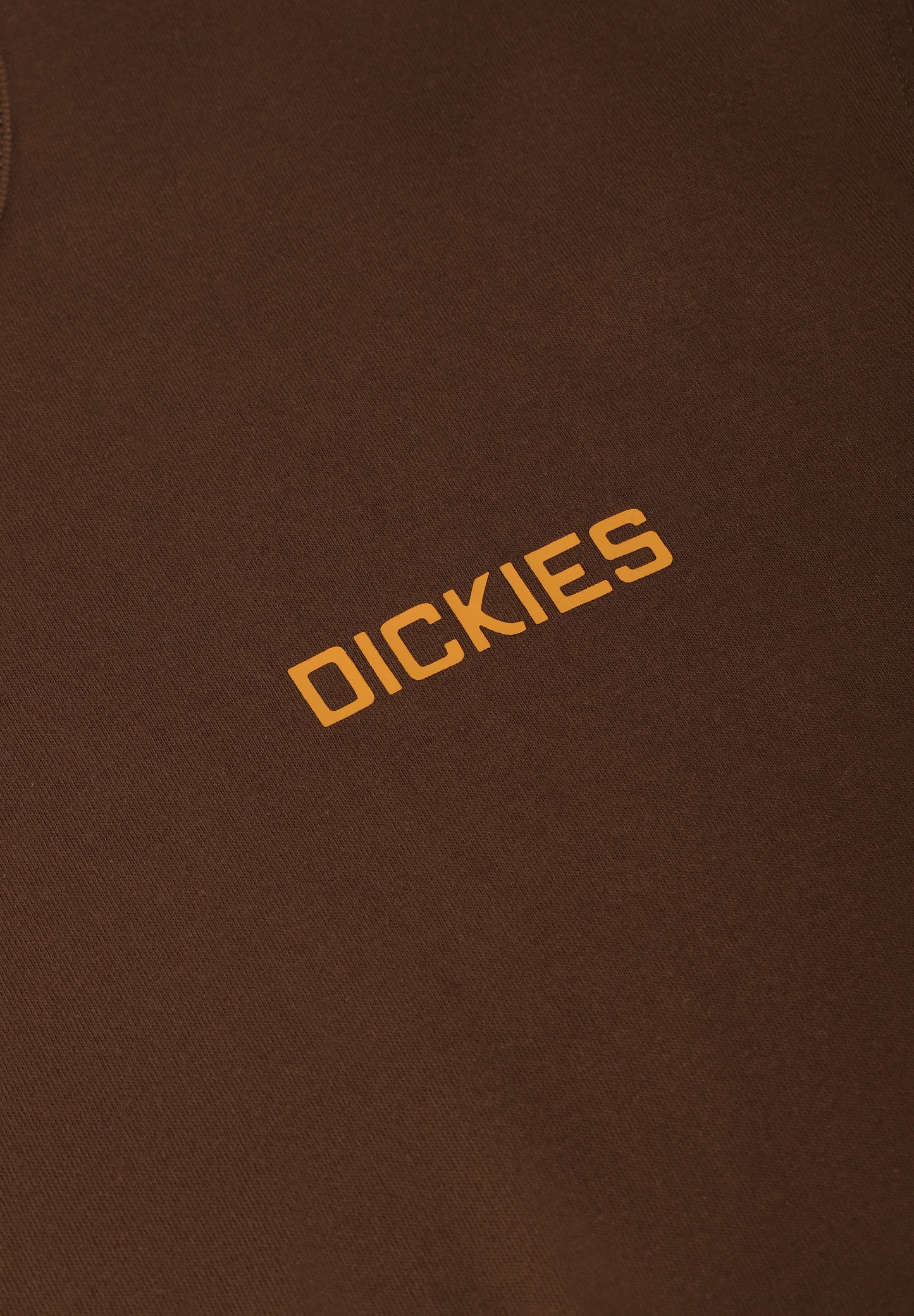 DICKIES | CAMISETA PAYSON 2FER