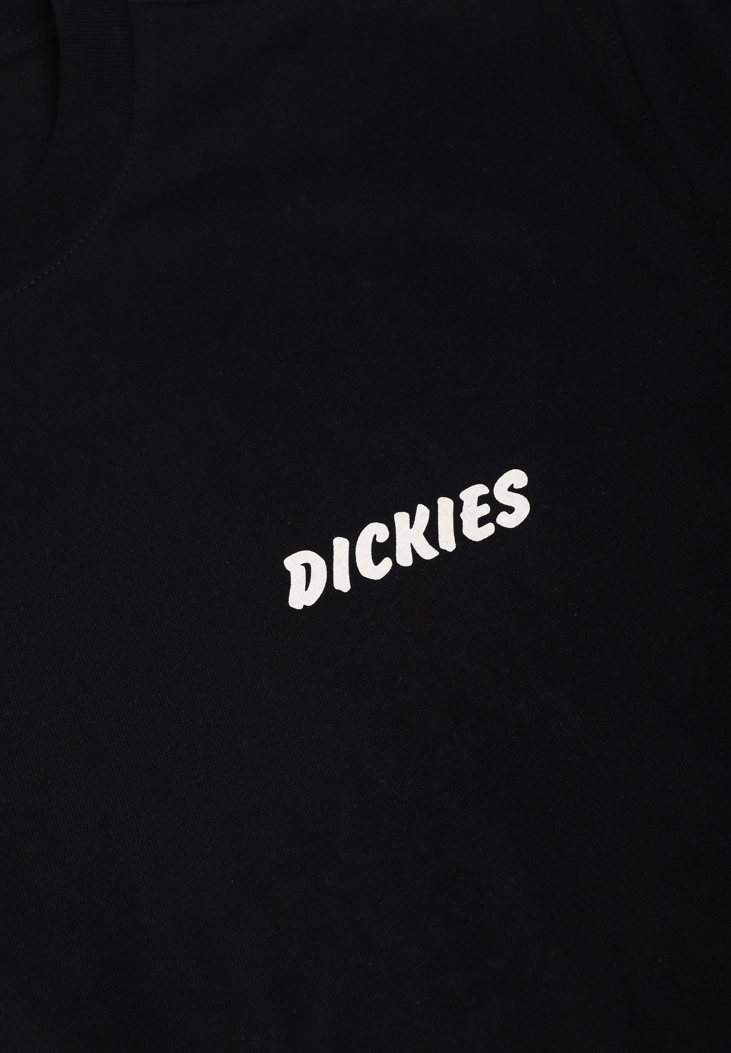 DICKIES | CAMISETA DRY RIDGE