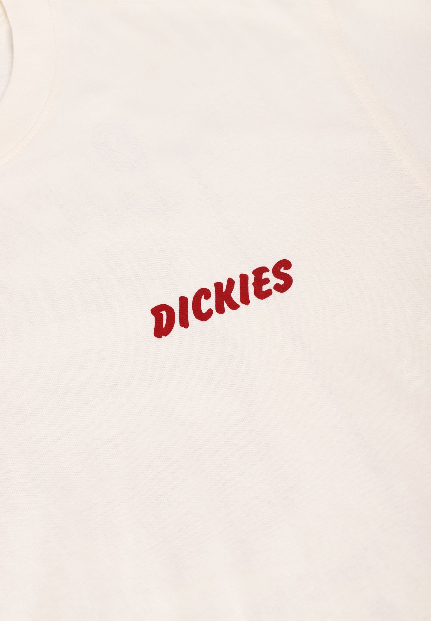 DICKIES | CAMISETA DRY RIDGE