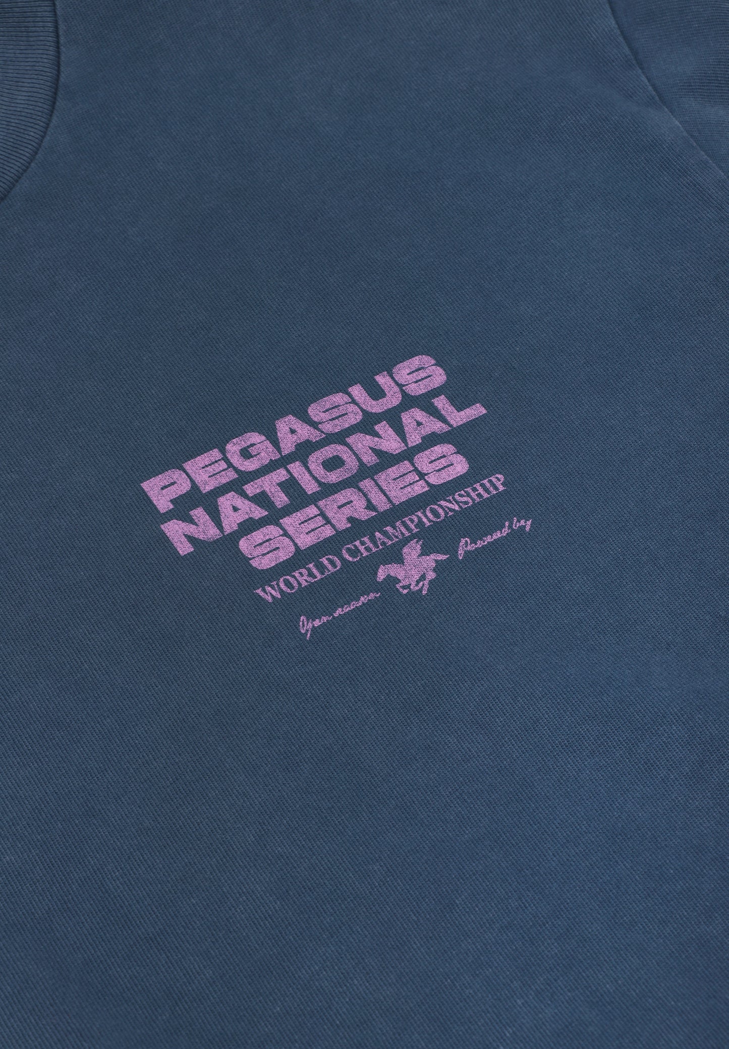 GOODIES SPORTIVE | CAMISETA PEGASUS SERIES