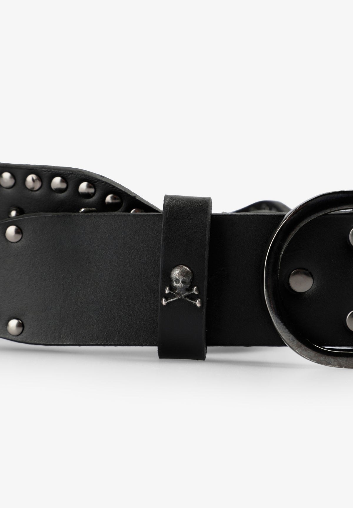 SCWAVESFLOWERS BELT