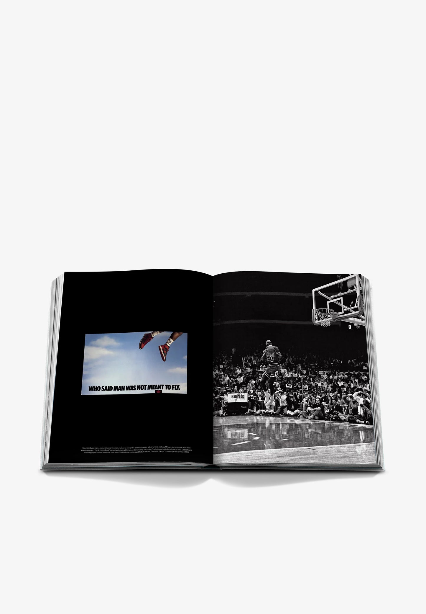 ASSOULINE | LIBRO AIR JORDAN (CLASSIC)