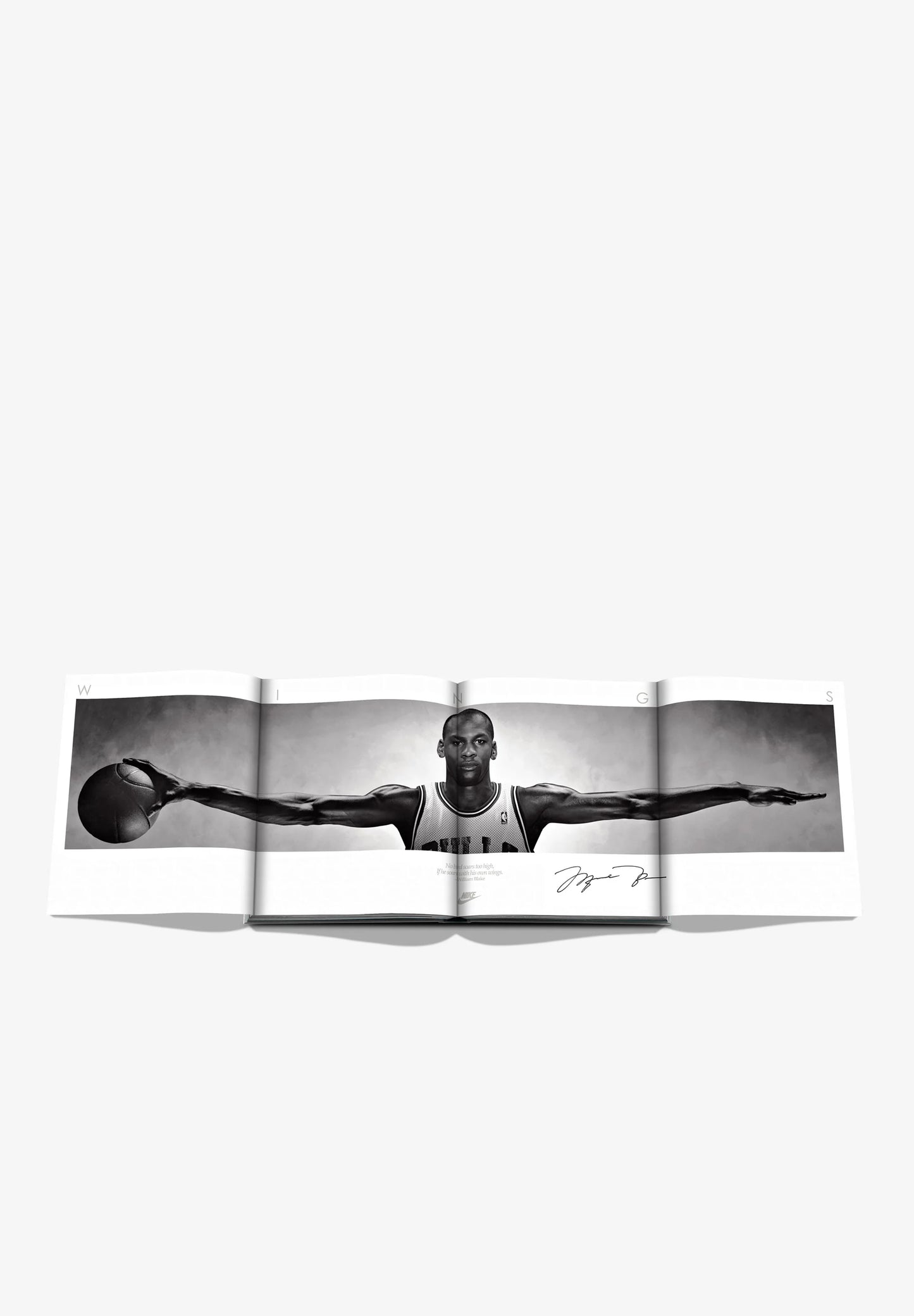 ASSOULINE | LIBRO AIR JORDAN (CLASSIC)