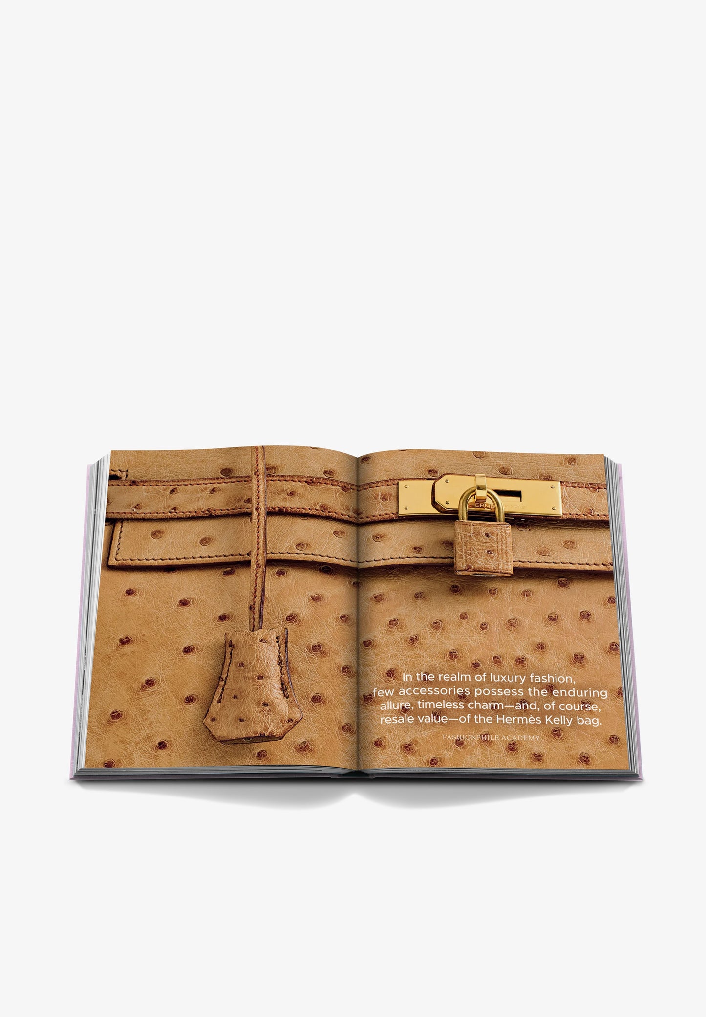 ASSOULINE | LIBRO FASHIONPHILE, THE BOOK OF ICONIC BAGSPINK