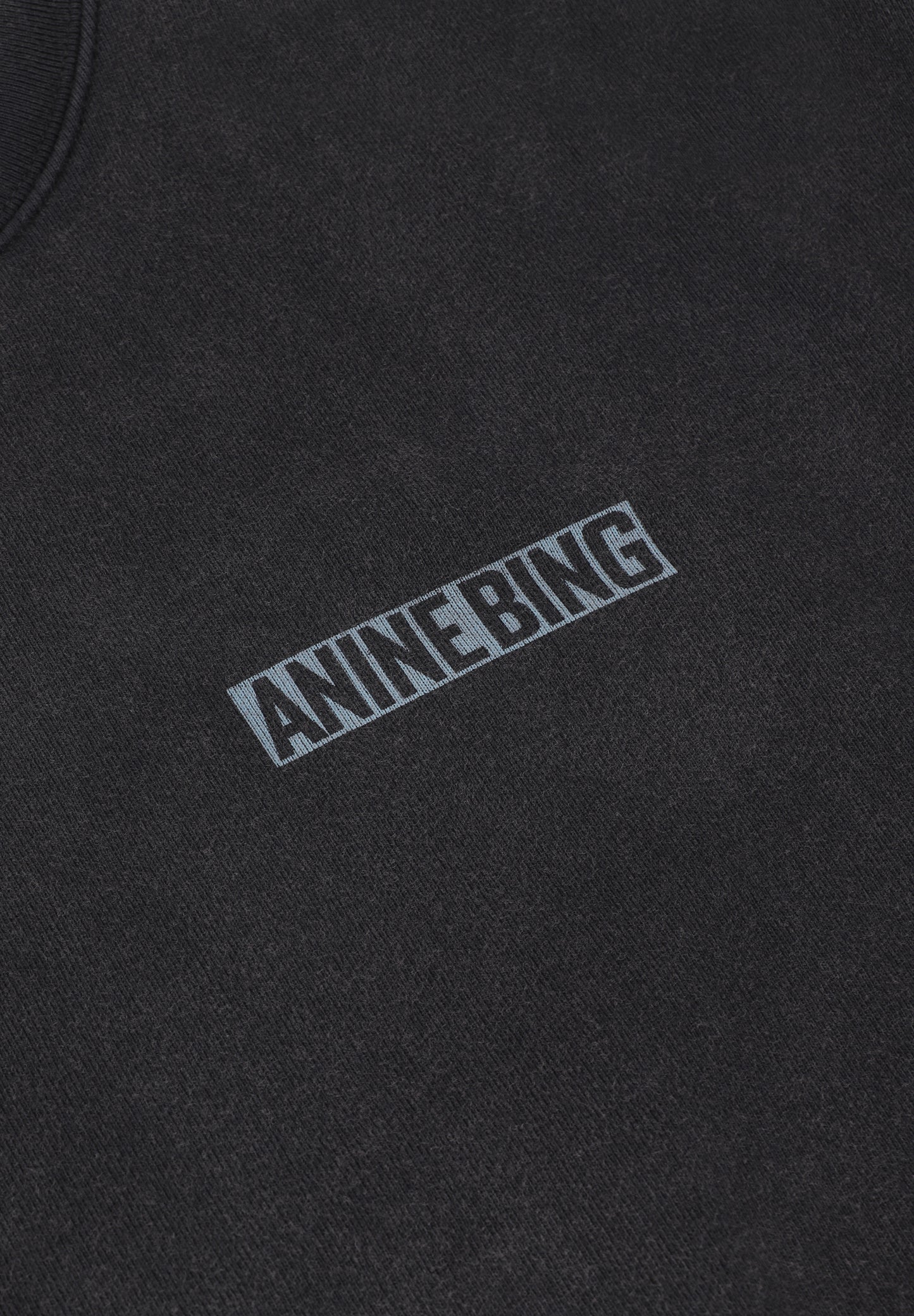 ANINE BING | MILES SWEATSHIRT PALM