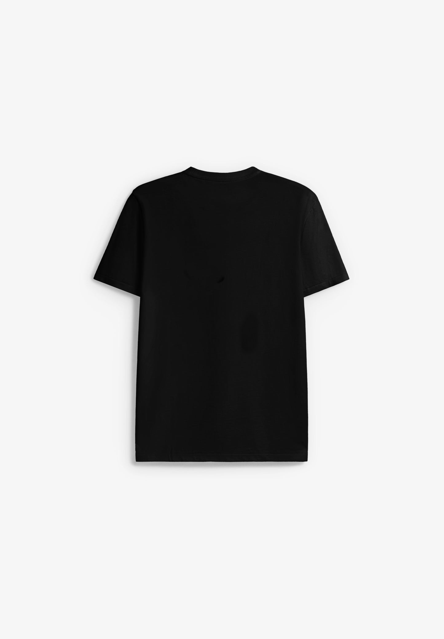 POLO RALPH LAUREN | CAMISETA SSL-TSH