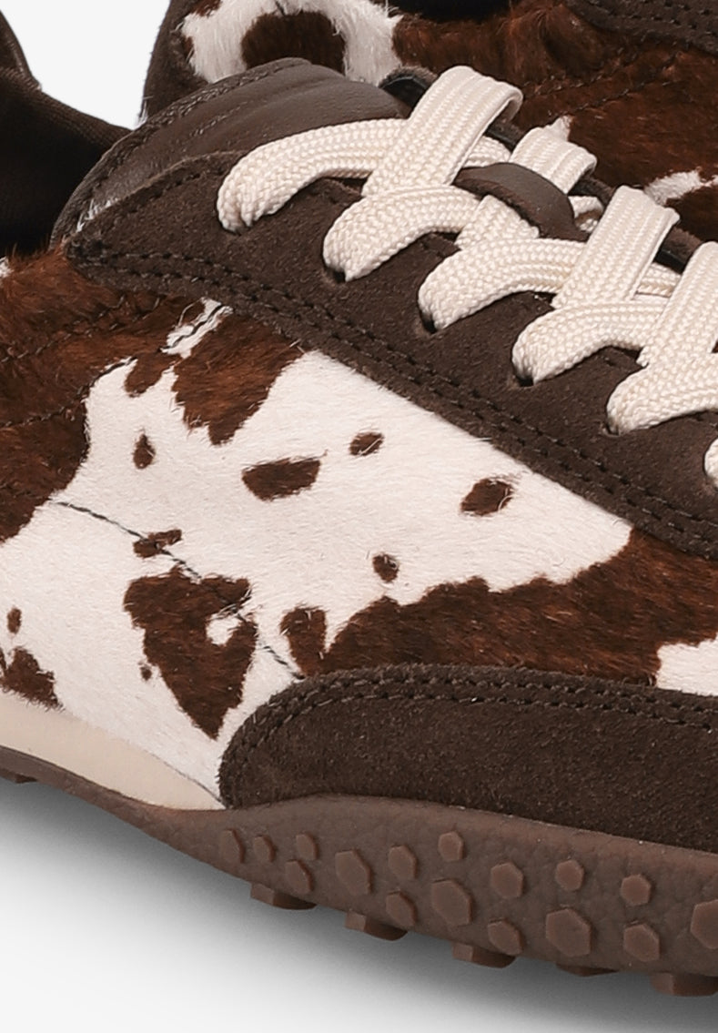 HOFF | SNEAKERS BRIDGE