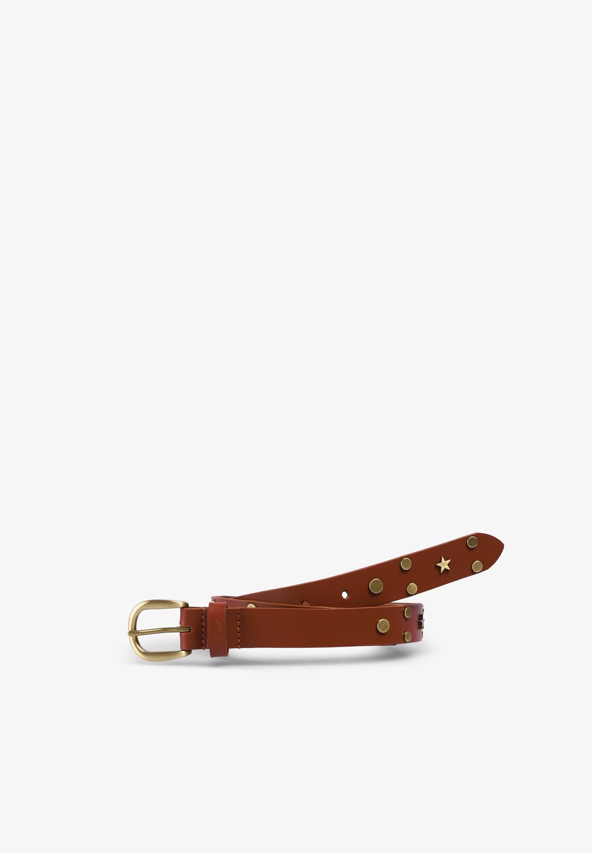 LEVIS | CONSTELLATION BELT OV MOCHA BI