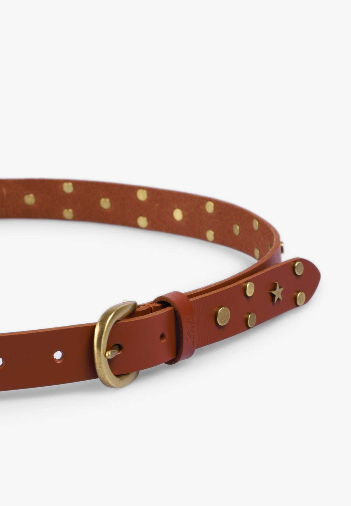 LEVIS | CONSTELLATION BELT OV MOCHA BI