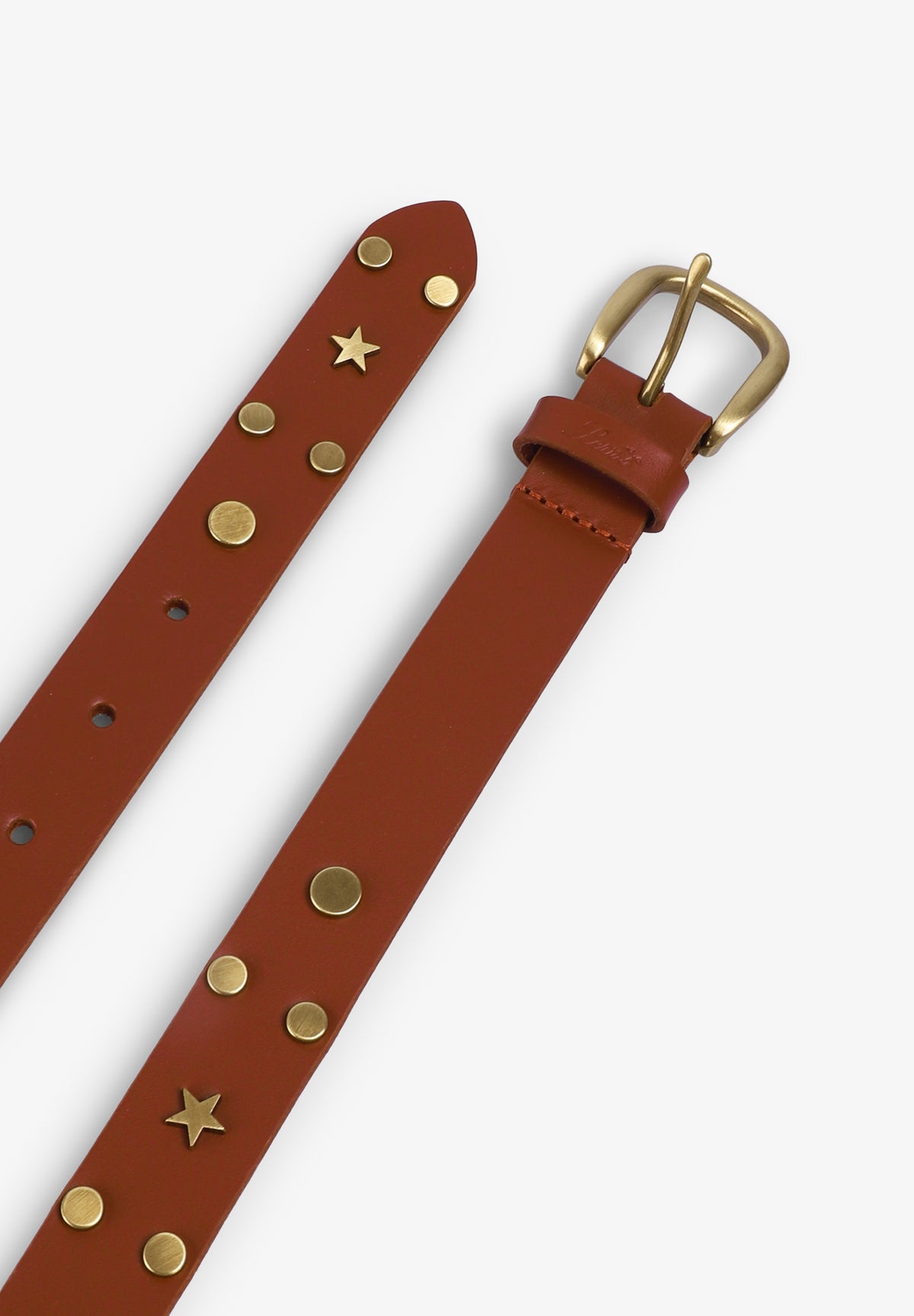 LEVIS | CONSTELLATION BELT OV MOCHA BI