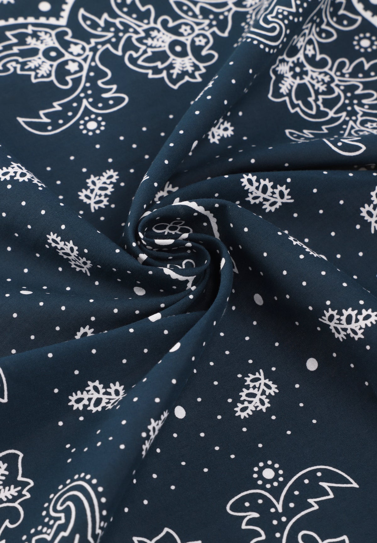LEVIS | PAISLEY BANDANA PAISLEY BANDAN