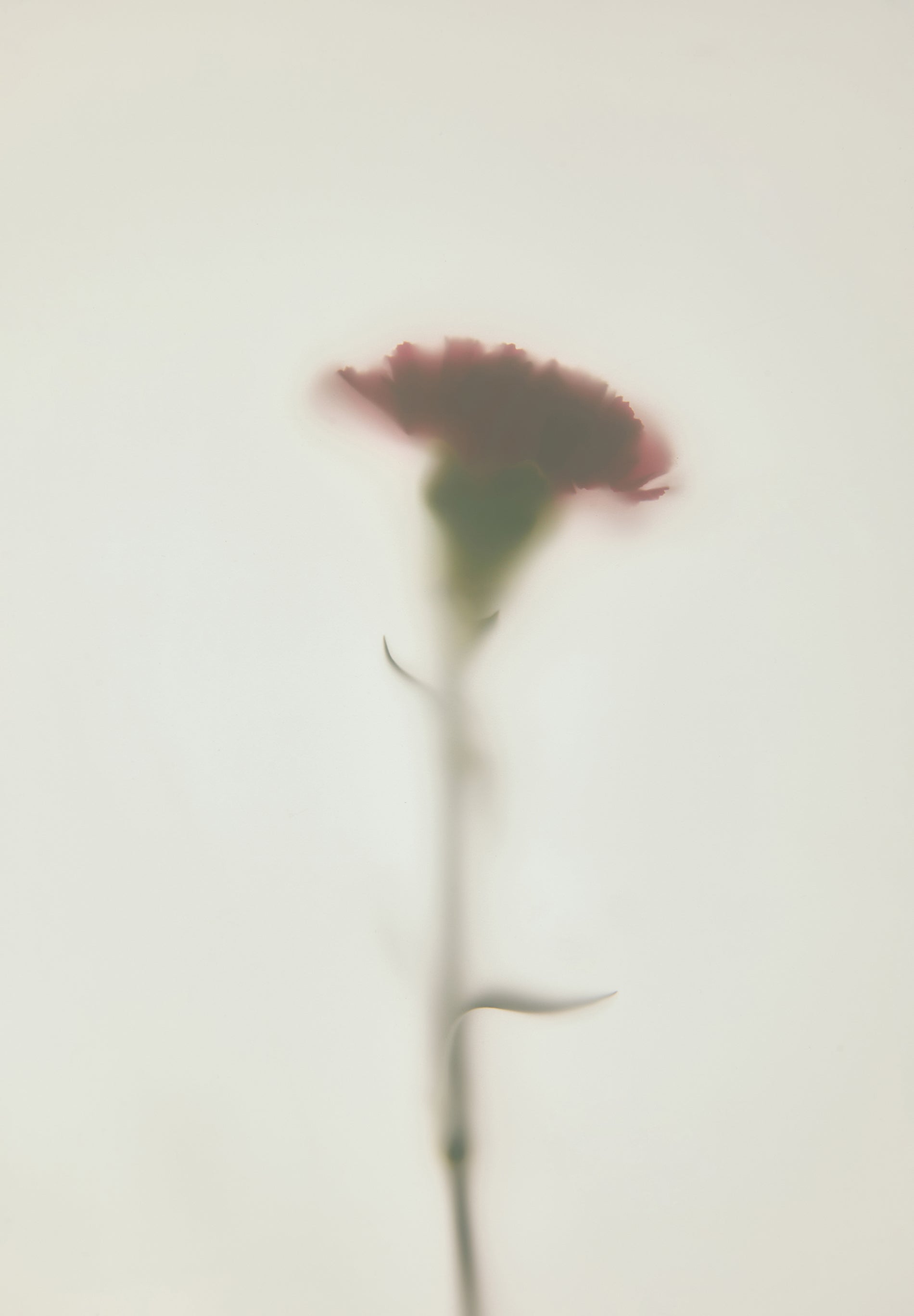 SANDALIAS TACÓN PIEL