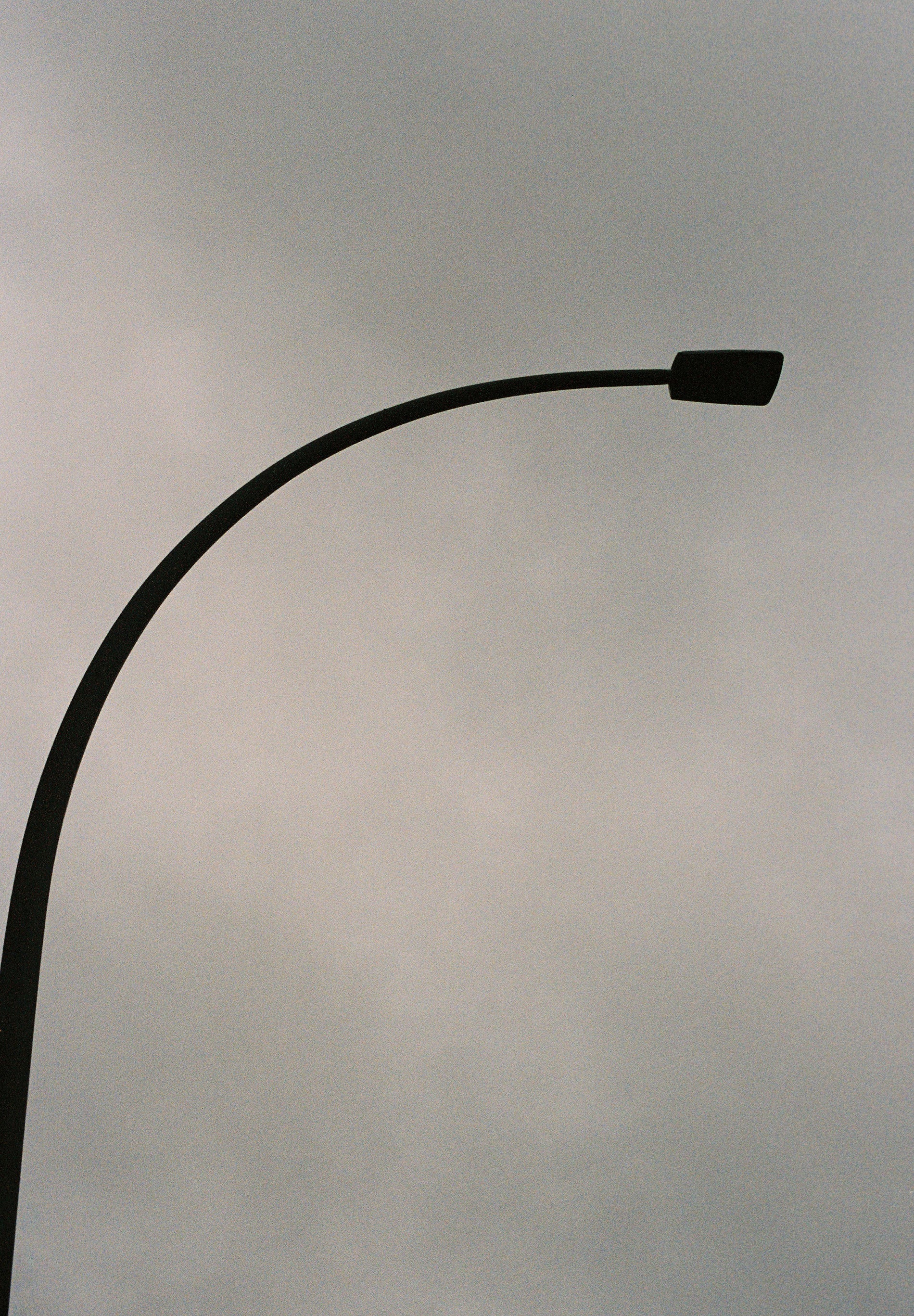 CHAQUETA BOMBER VOLANTES PIEL