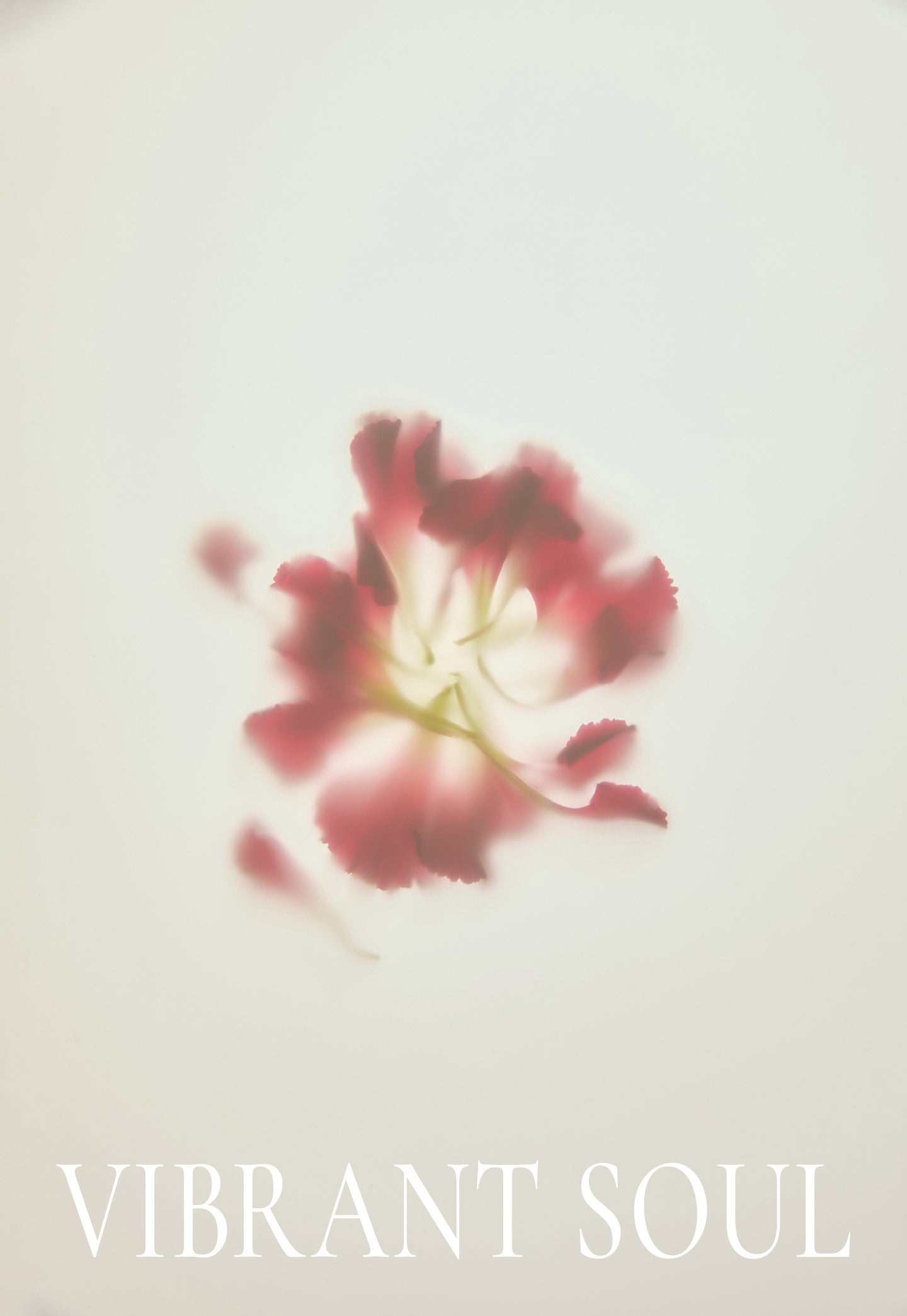 BOLSO CLUTCH GEOMÉTRICO