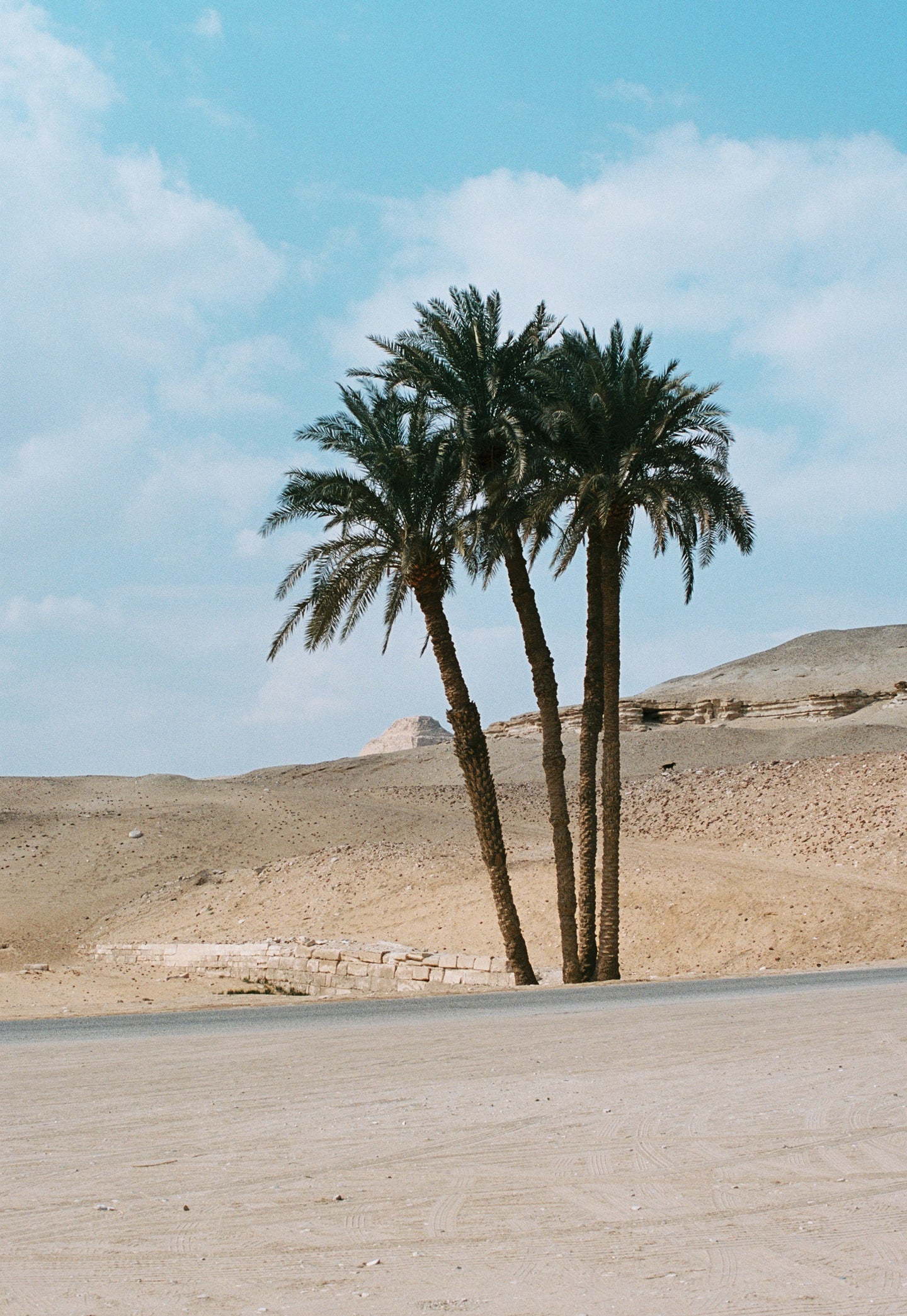 CHALECO ASIMÉTRICO BROCADO