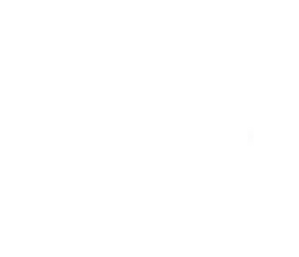 Uno de los logos de partners in crime