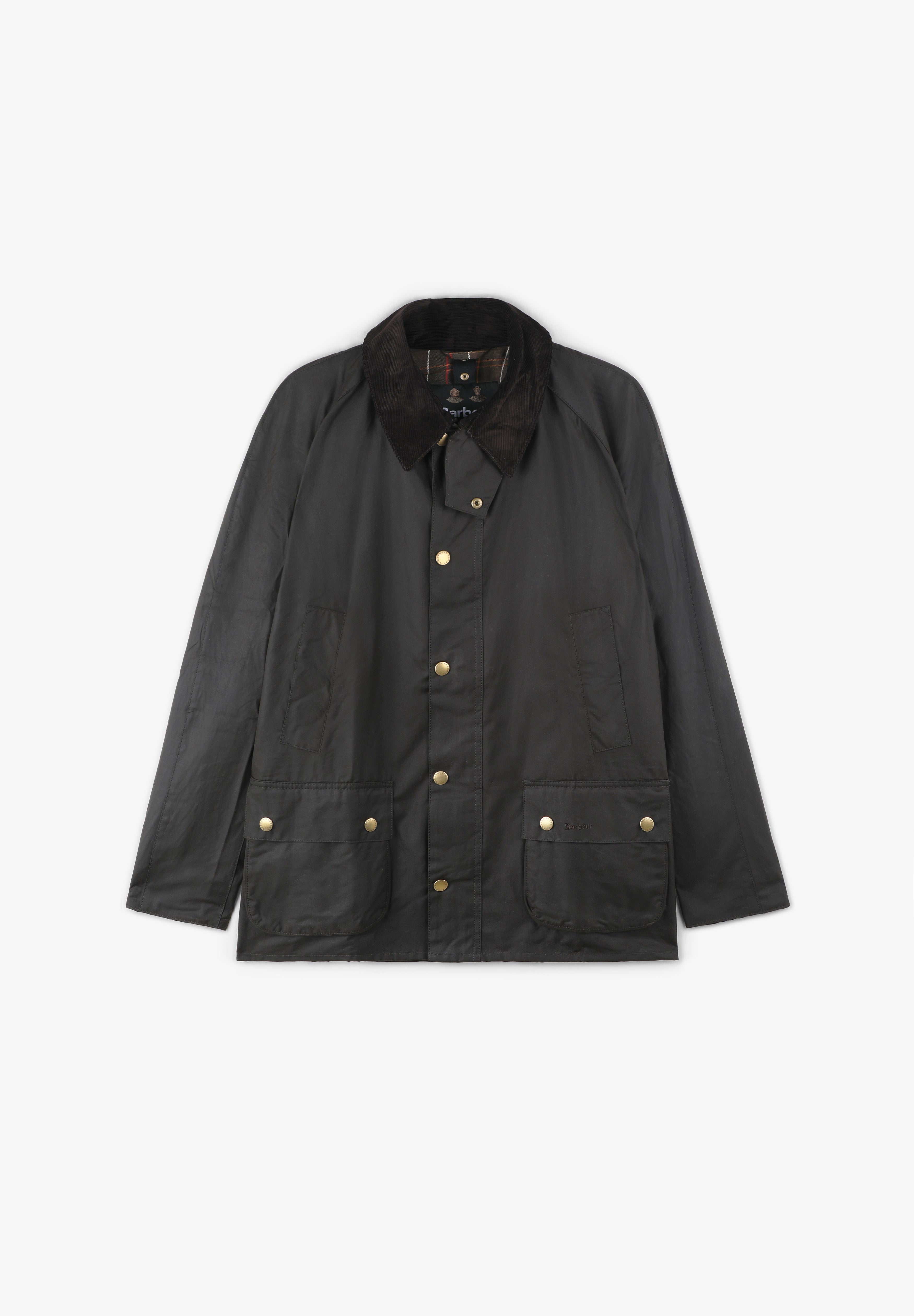 BARBOUR | CHAQUETA ASHBY - Scalpers