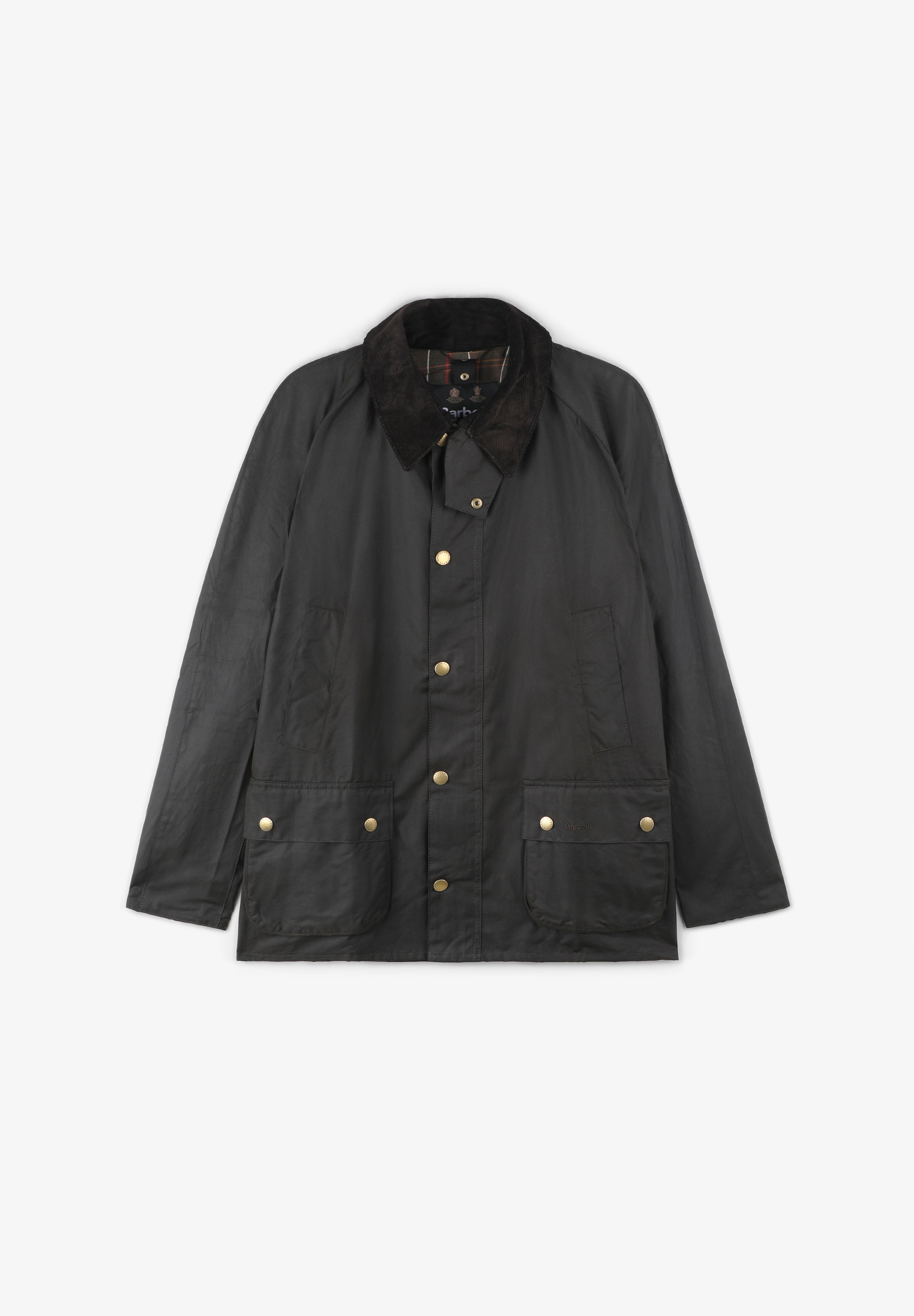 BARBOUR | CHAQUETA ASHBY