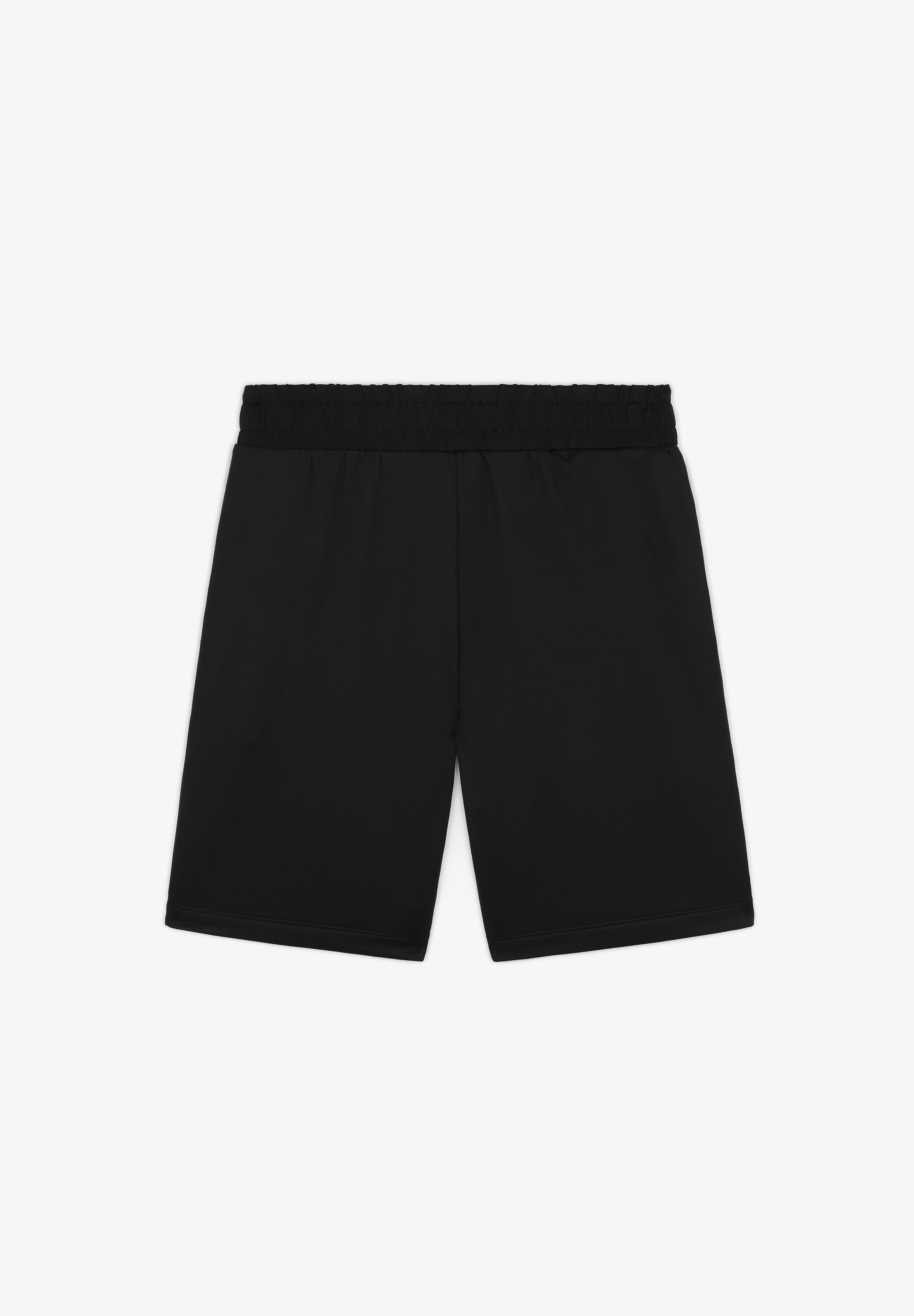 UNDER ARMOUR | SHORTS TERRY