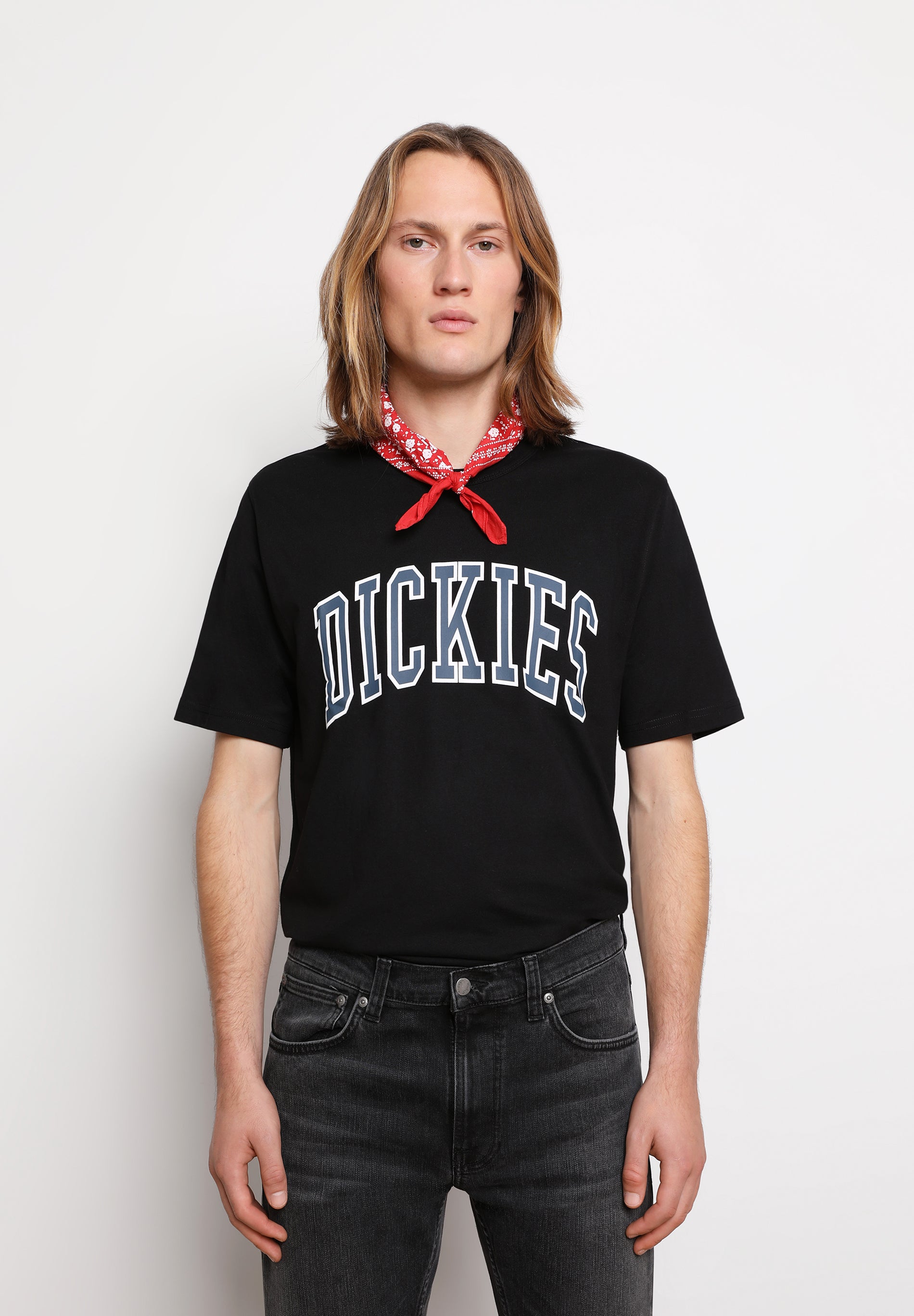 DICKIES | CAMISETA AITKIN AIR FORCE
