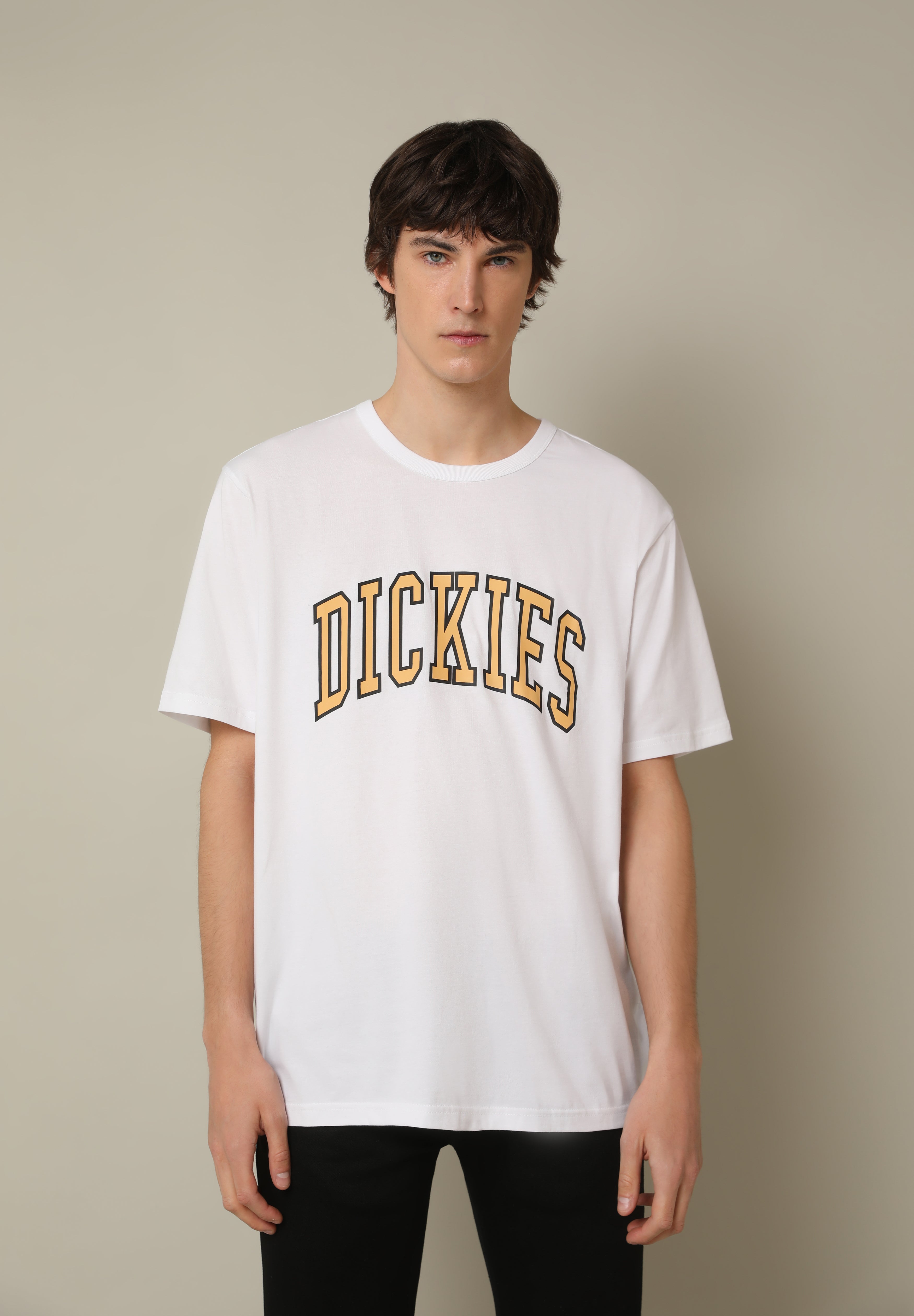 DICKIES | CAMISETA AITKIN