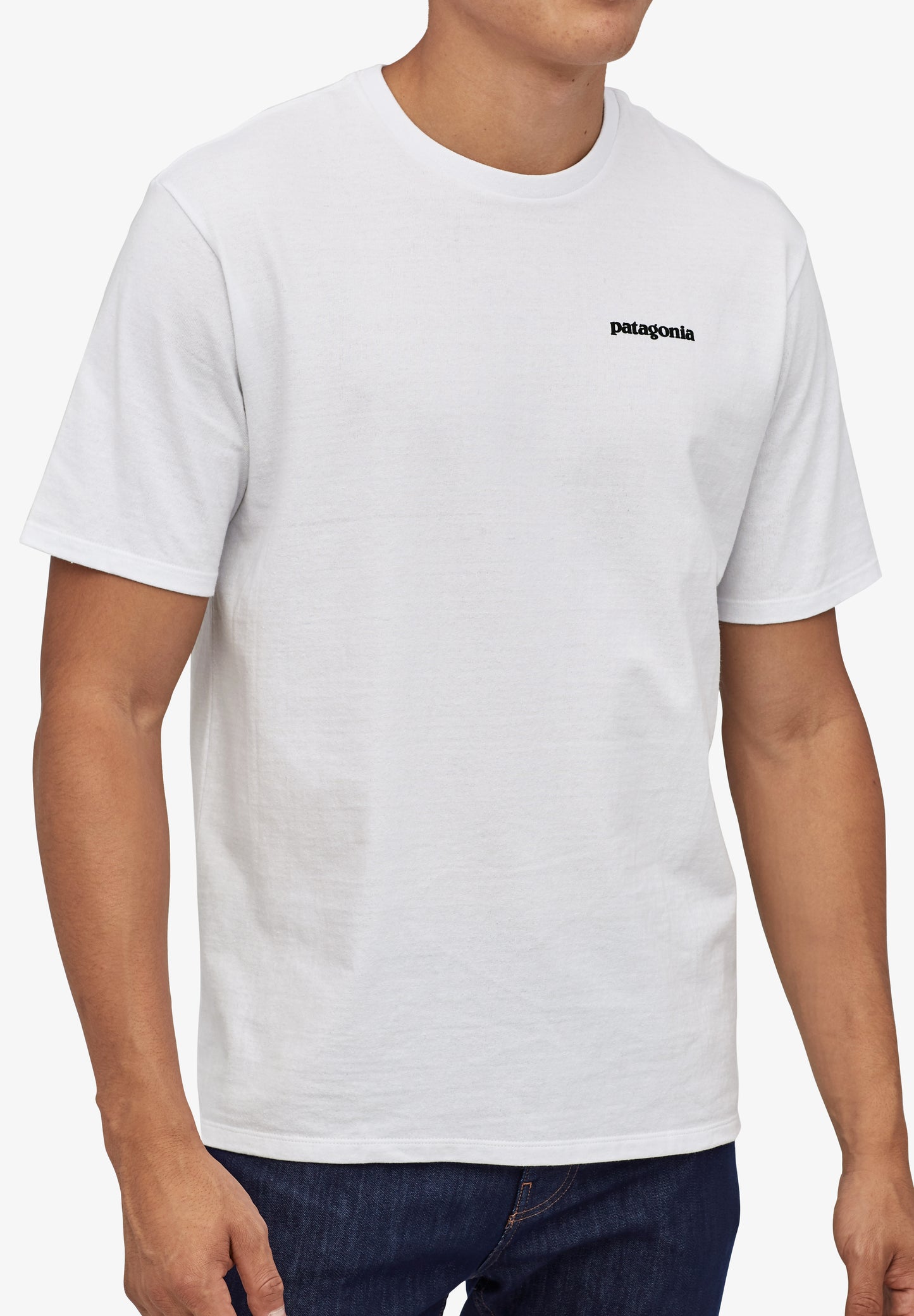 PATAGONIA | CAMISETA P-6 LOGO HOMBRE