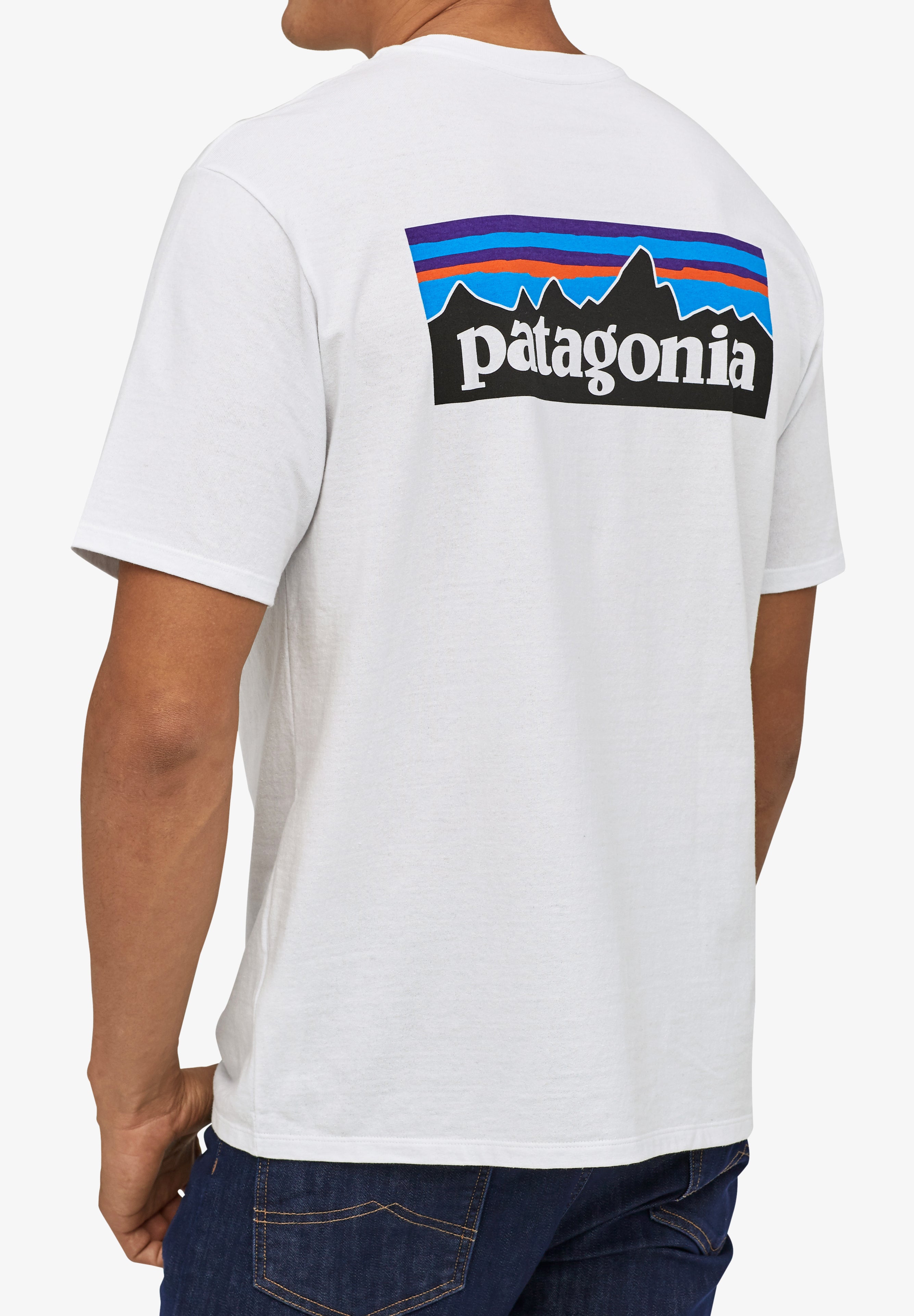 PATAGONIA | CAMISETA P-6 LOGO HOMBRE - Scalpers