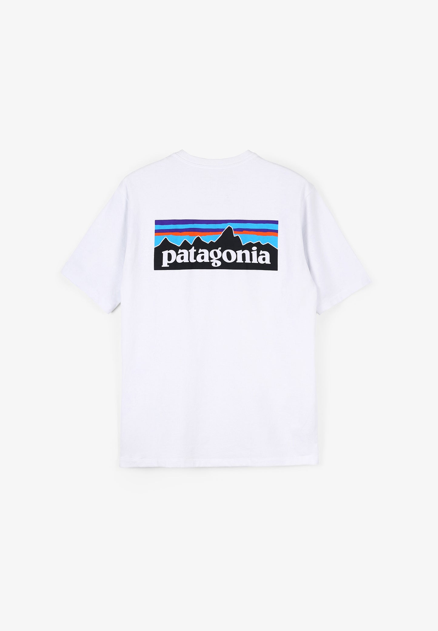 PATAGONIA | CAMISETA P-6 LOGO HOMBRE