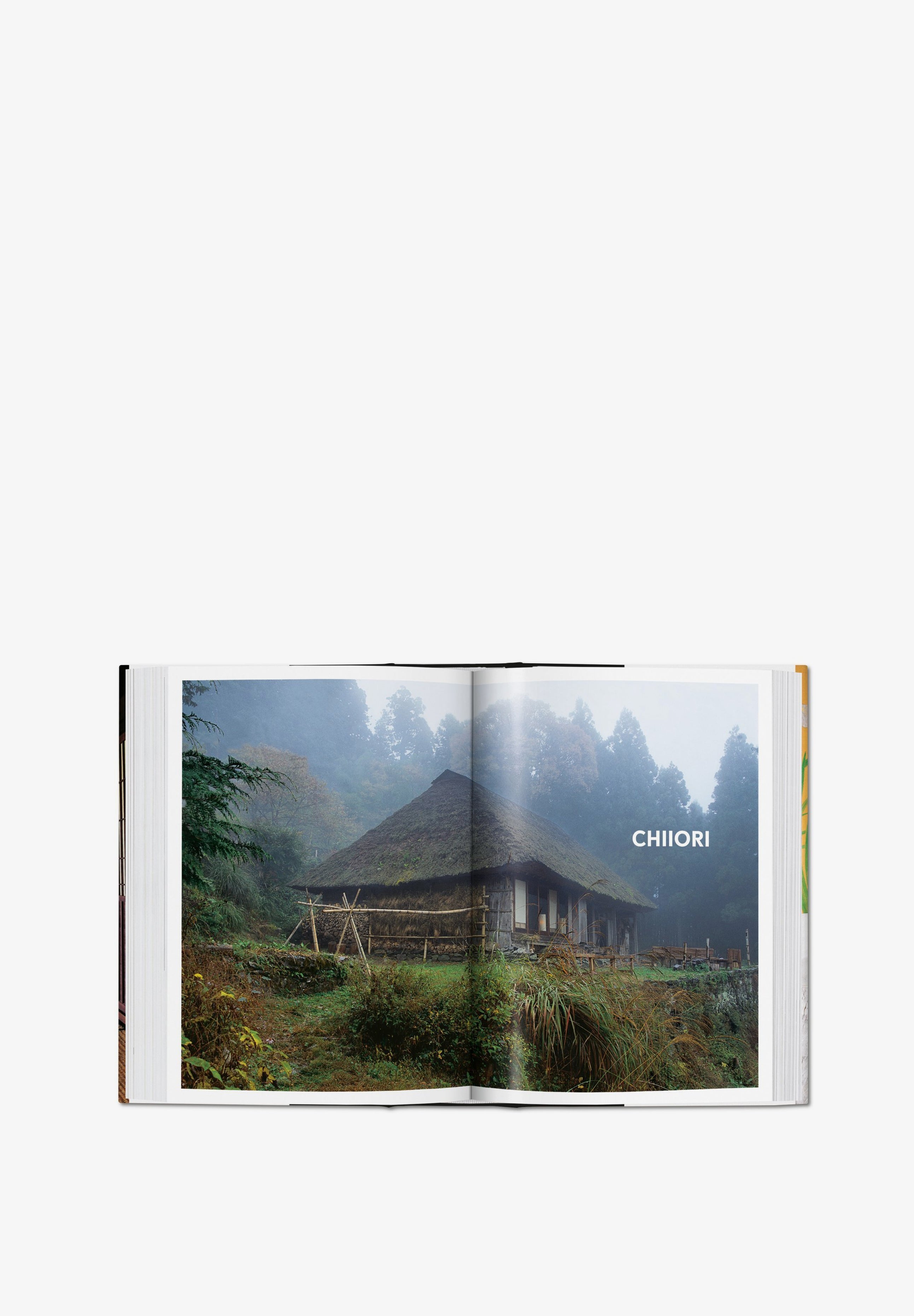 TASCHEN | LIBRO LIVING IN JAPAN 40TH ED - Scalpers