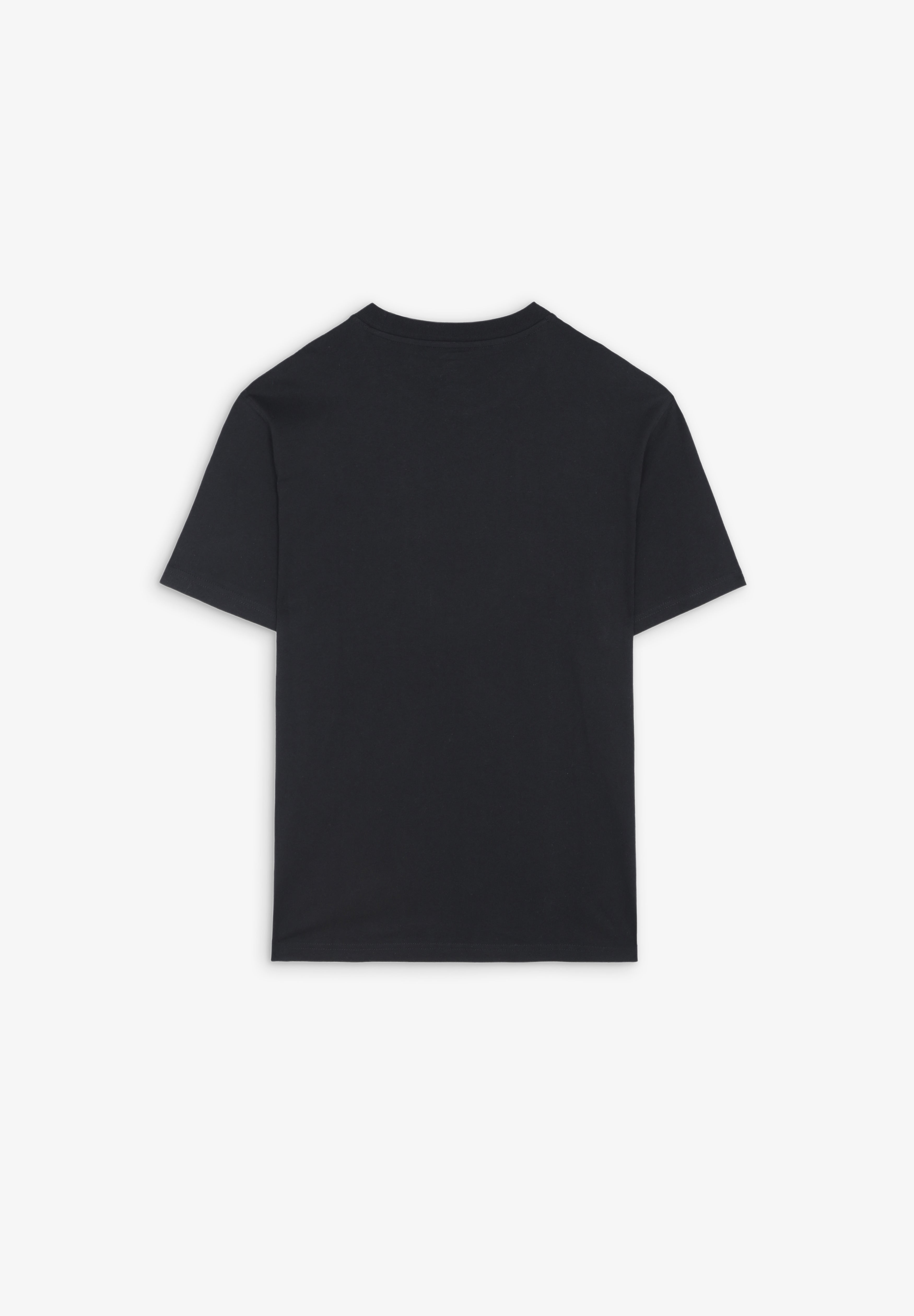 DICKIES | CAMISETA SUMMERDALE - Scalpers