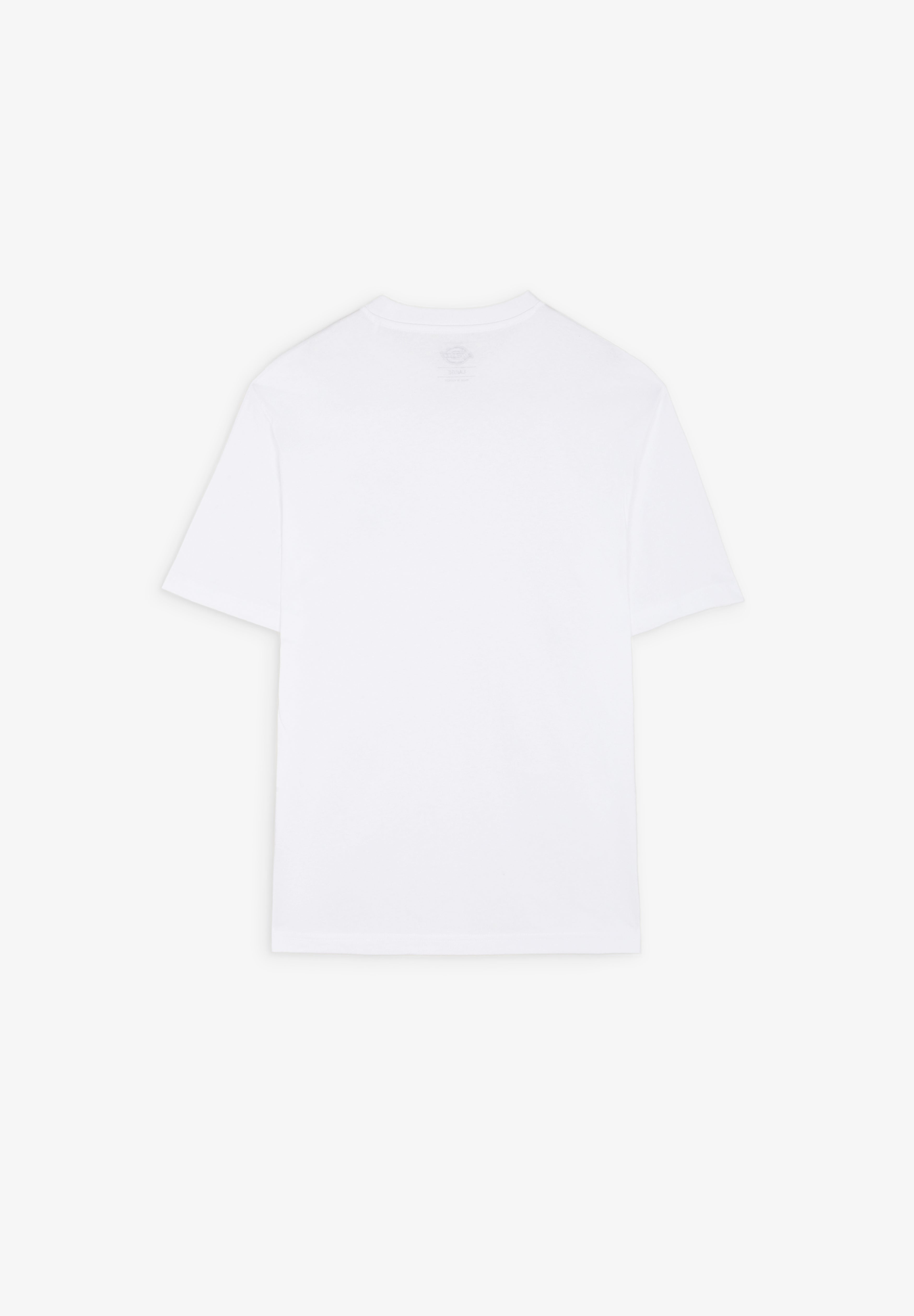 DICKIES | CAMISETA SUMMERDALE - Scalpers